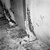 M/s Cygnus i oscarsdockan plåtskador