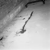 M/s Cygnus i oscarsdockan plåtskador