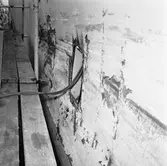 M/s Cygnus i oscarsdockan plåtskador