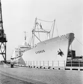 M/s Cygnus i oscarsdockan