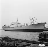 M/s Cygnus Seattle Hermes vid dockorna