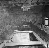 Träminsvepare däcksarg