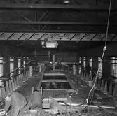 Träminsvepare däcksarg