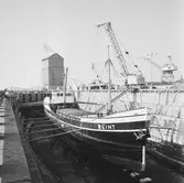 M/s Reint Hamburg i docka 3