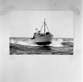 M 45- M 46 till sjöss (repro)