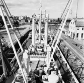 M/s Traneland i oscarsdaockan