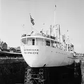 M/s Danaland i oscarsdockan