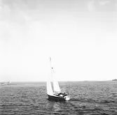 Karlskronakryssaren till sjöss