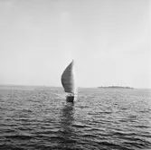 Karlskronakryssaren till sjöss