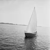 Karlskronakryssaren till sjöss