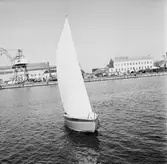 Karlskronakryssaren till sjöss