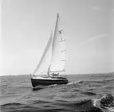 Karlskronakryssaren till sjöss