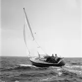 Karlskronakryssaren till sjöss