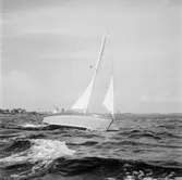 Karlskronakryssaren till sjöss