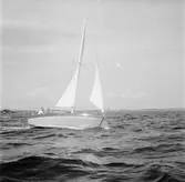 Karlskronakryssaren till sjöss