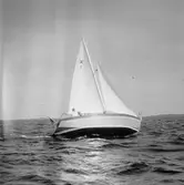 Karlskronakryssaren till sjöss