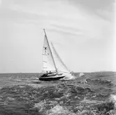 Karlskronakryssaren till sjöss