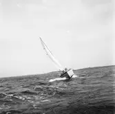 Karlskronakryssaren till sjöss