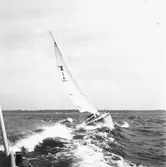 Karlskronakryssaren till sjöss