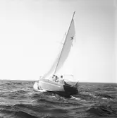 Karlskronakryssaren till sjöss