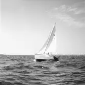 Karlskronakryssaren till sjöss