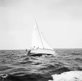 Karlskronakryssaren till sjöss