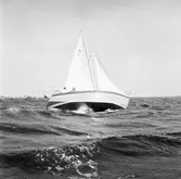 Karlskronakryssaren till sjöss