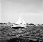 Karlskronakryssaren till sjöss