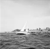 Karlskronakryssaren till sjöss