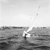 Karlskronakryssaren till sjöss