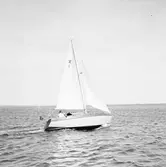 Karlskronakryssaren till sjöss