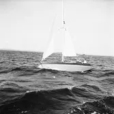 Karlskronakryssaren till sjöss