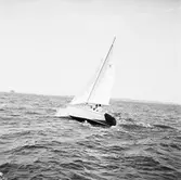 Karlskronakryssaren till sjöss