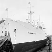 M/s Wingaland i oscarsdockan