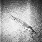 M/s Edda på slipen (botten)