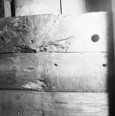 M/s Edda på slipen (botten)