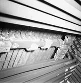 Jag. Östergötland panna