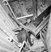 Jag. Östergötland panna