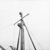 M 47 Träminsv. int o ext