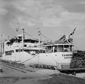 Båt i docka Tundraland