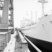 Båt i docka Tundraland