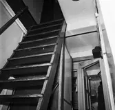 Fiskebåten Eystrasalt ext o int