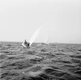 Segelbåten Viggen till sjöss