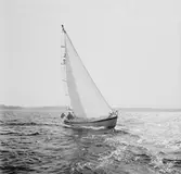 Segelbåten Viggen till sjöss