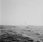 Segelbåten Viggen till sjöss