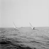 Segelbåten Viggen till sjöss