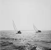 Segelbåten Viggen till sjöss