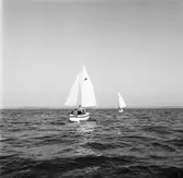 Segelbåten Viggen till sjöss