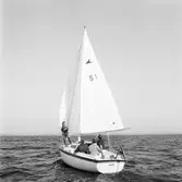 Segelbåten Viggen till sjöss