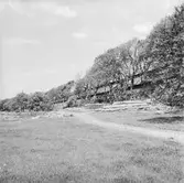 Varvsträdgården omslagsbild till varvet runt